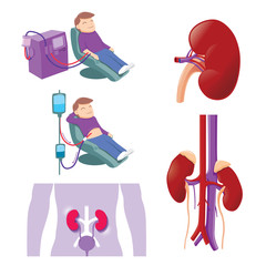 Kidney Medical