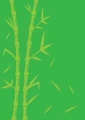 Green Bamboo Vector Background