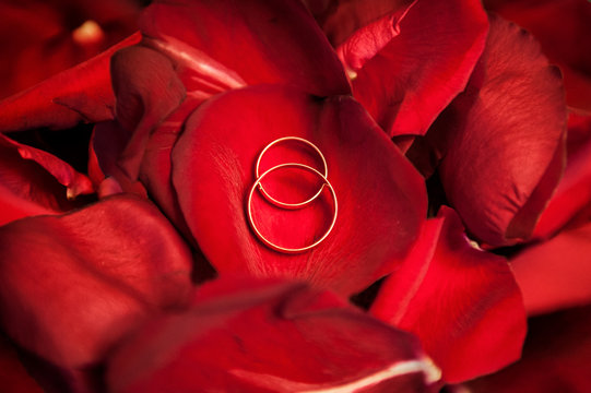 Wedding Gold Rings On The Red Rose Petals