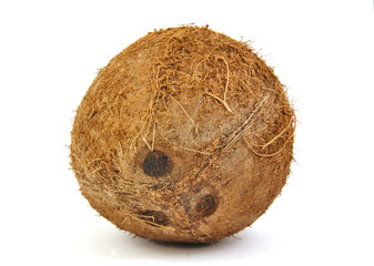 One fresh coconut on white background.