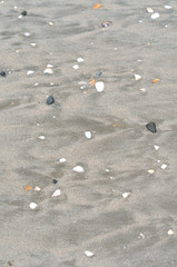 Sea sand with volcanic pebbles and shell bits
