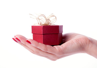 Woman hands holdind present box