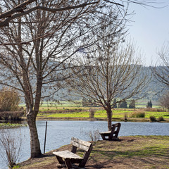 Agamon Hula bird refuge, Hula Valley, Israel