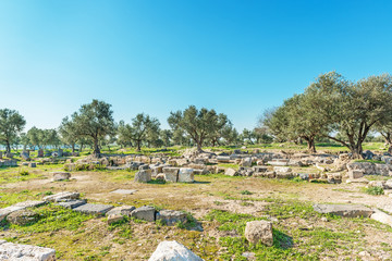 Fototapeta na wymiar Ruins of Basilica at Umm Qais in northern Jordan