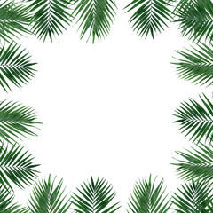Naklejka na ściany i meble Beautiful palm leaves shaped as frame with space for your text