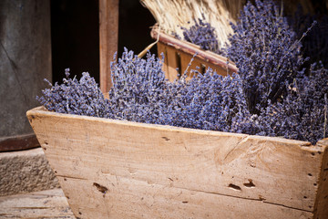 Fototapeta premium Lavender bunches selling in an outdoor french market