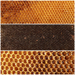 Honeycomb collage