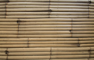 bamboo wall texture background