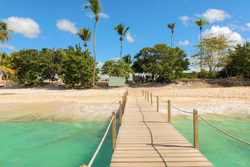 Vacation background: wooden jetty, exotic beach and palm trees