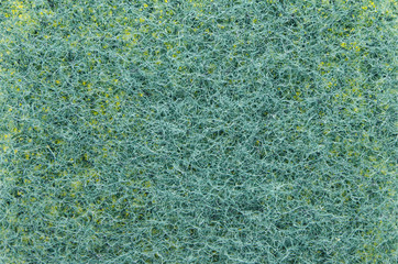 Green Dishwashing sponge detail