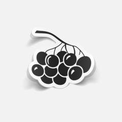 realistic design element: berries