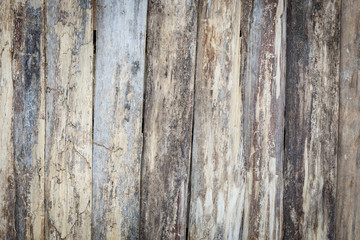 wood texture background