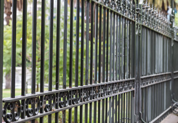 Metal fence with green background. Melbourne, Australia