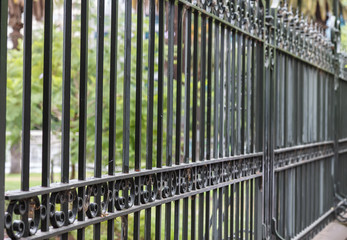 Metal fence with green background. Melbourne, Australia