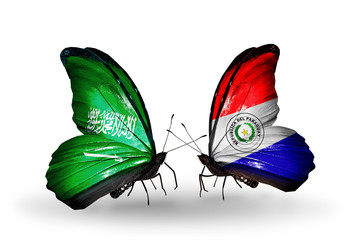 Two butterflies with flags Saudi Arabia and Paraguay