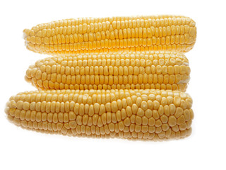 sweet corn on the cob