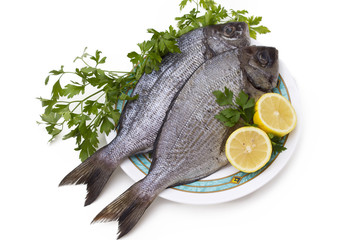 bream isolated