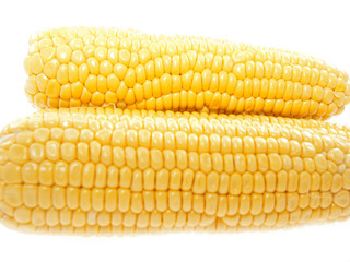 sweet corn on the cob