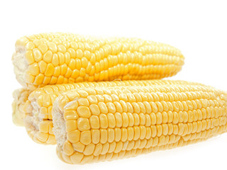 corn