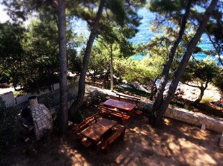 Вид на сосны и берег моря в Хорватии © Maxim Striganov