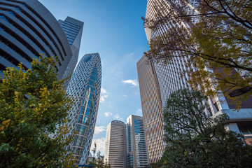 Obraz premium Skyscrapers of Shinjuku, Tokyo, Japan