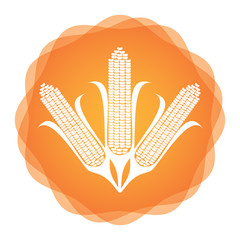Maize icon, agricultural concept