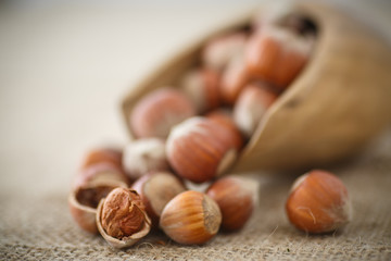 hazelnut