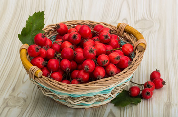 Hawthorn