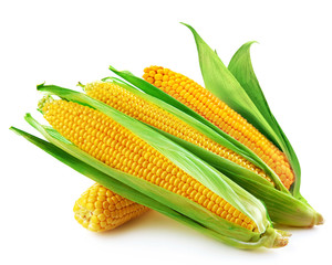 corn