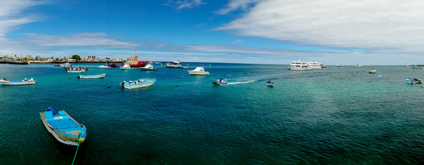 marina in san cristobal galapagos islands ecuador