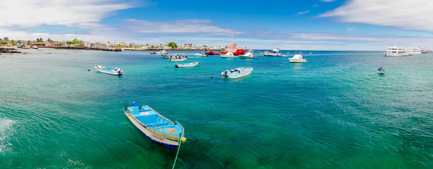 marina in san cristobal galapagos islands ecuador - obrazy, fototapety, plakaty