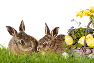 Frohe Ostern