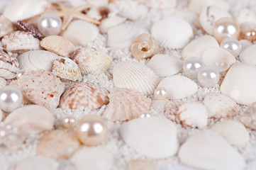 background of sea shells and pearls - 76901980