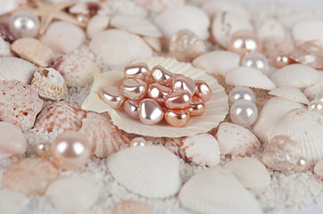 pearl shell