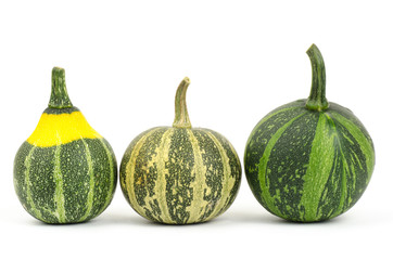 Colorful pumpkin