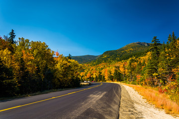 Fototapeta premium Autumn color along a road in White Mountain National Forest, New