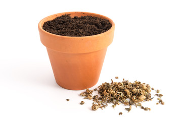 Blumentopf und Blumensamen