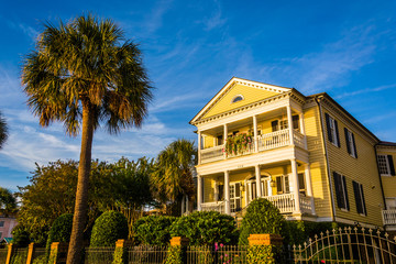 Fototapeta na wymiar House and palm tree along Murray Drive in Charleston, South Caro