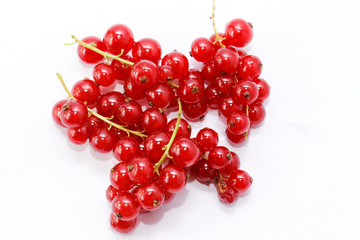 Red currant