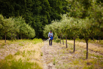 Old farmer spreading fertilizer in orchard