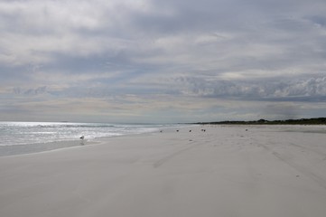 Le Grand Beach - Cape le Grand - Western Australia 