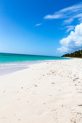 Strand von Isla Saona in der Karibik