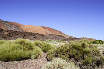 Volcano Island (Tenerife)