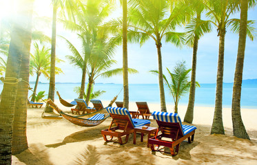 Empty hammock in the tropical beach