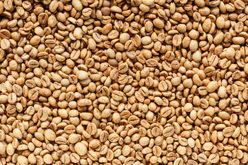 Kopi Luwak or civet coffee