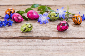 Easter egg with snowdrops on rustic wooden background
