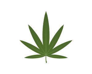 Fototapeta na wymiar Marijuana Hemp Cannabis Medicine
