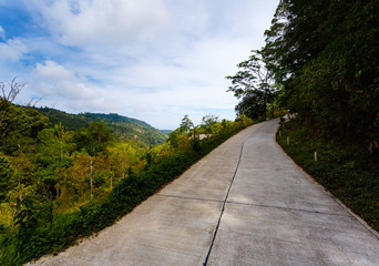 Road in the palm jungle of Thailand