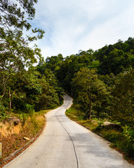 Road in the palm jungle of Thailand