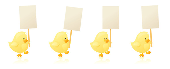 Fototapeta premium Chicks Say